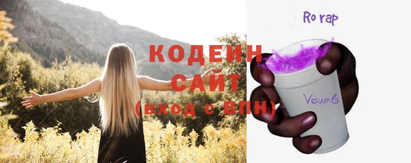 гашик Алексин
