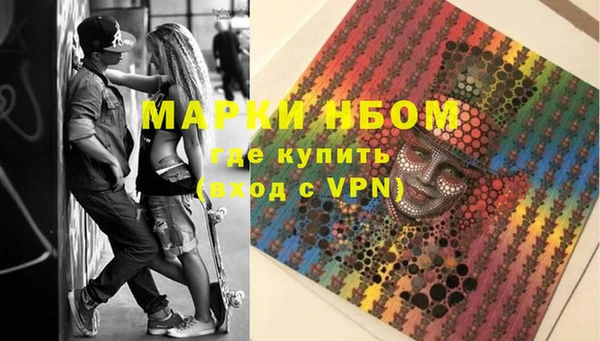 гашик Алексин