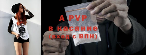 гашик Алексин