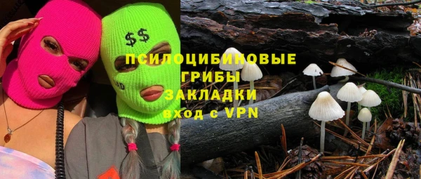 гашик Алексин