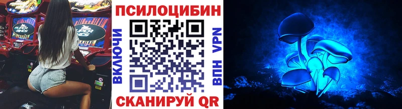 где купить наркотик  Староминская  Галлюциногенные грибы прущие грибы 